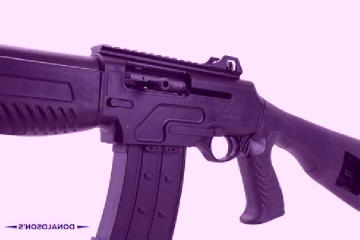 escort Jinan-gun