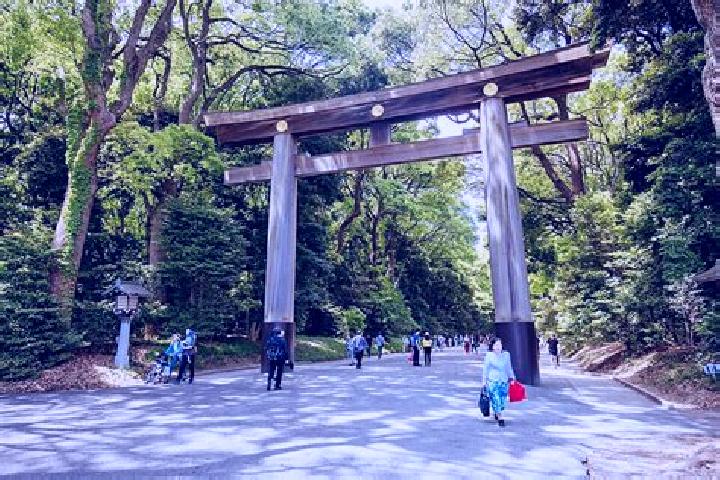 escort Jingu