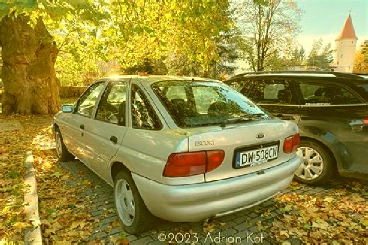 escort Jodlownik
