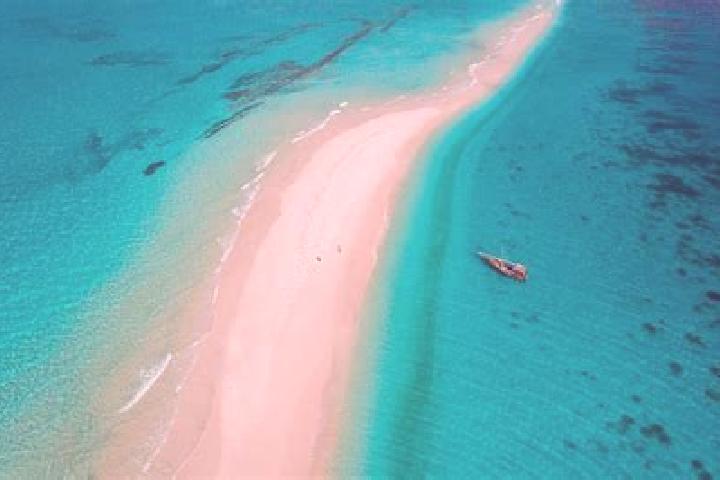 escort Joe Batt s Arm-Barr d Islands-Shoal Bay