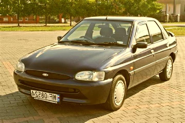 escort Jonkowo