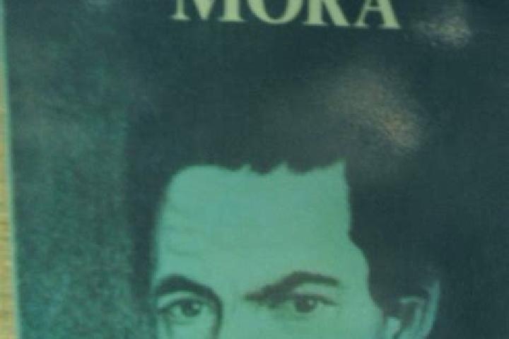 escort Jose Maria Luis Mora