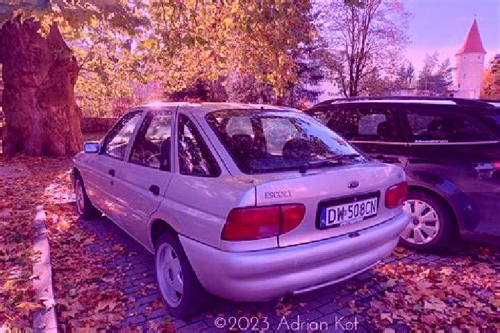 escort Jungholz