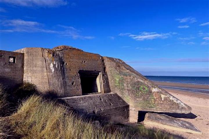 escort Juno Beach
