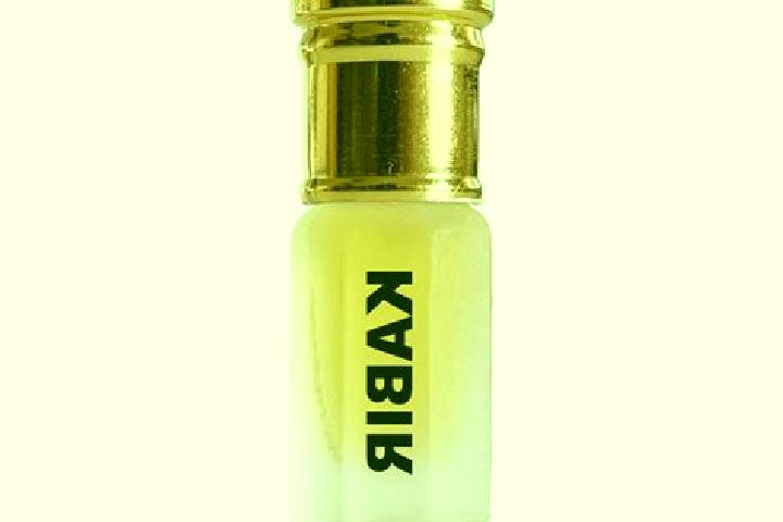escort Kabir