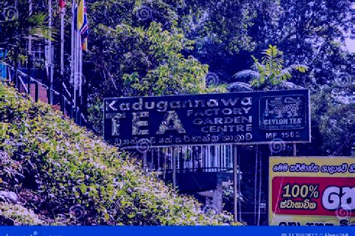 escort Kadugannawa