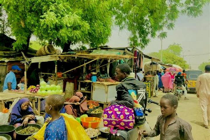 escort Kafin Hausa