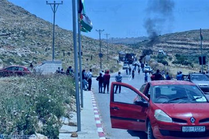 escort Kafr Qallil