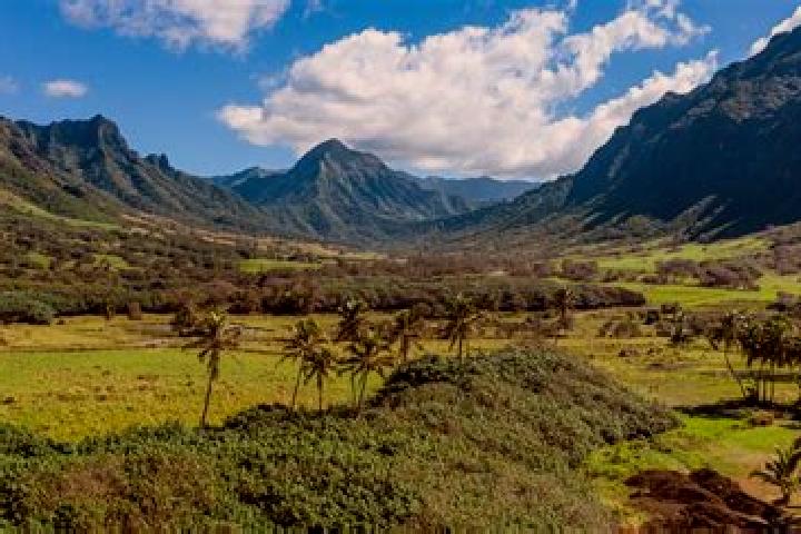 escort Kahuku-Kawela