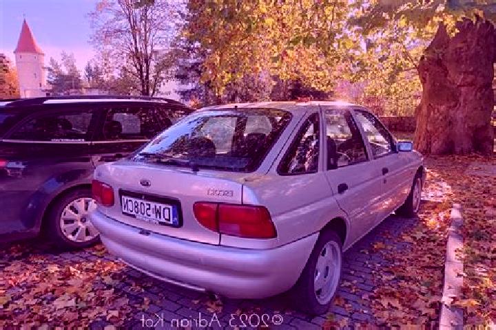 escort Kaisersesch