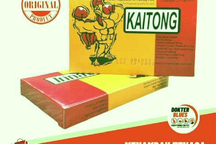 escort Kaitong
