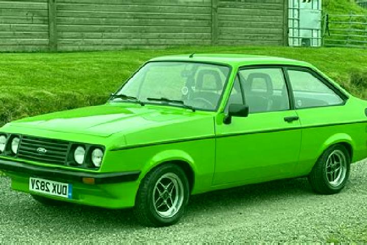 escort Kalinovik