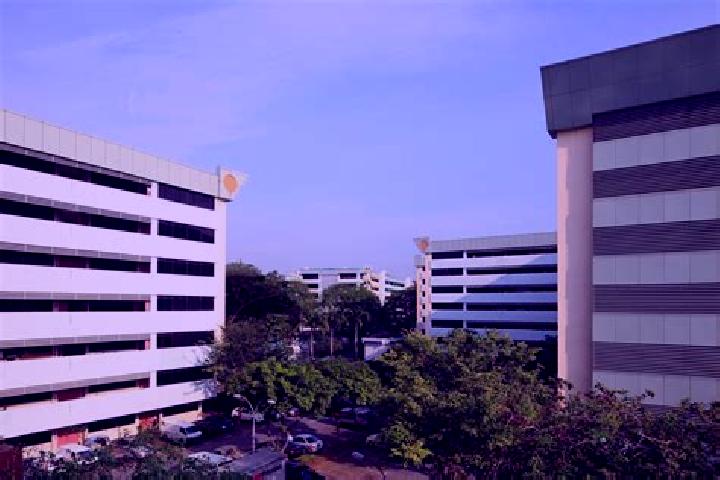 escort Kallang