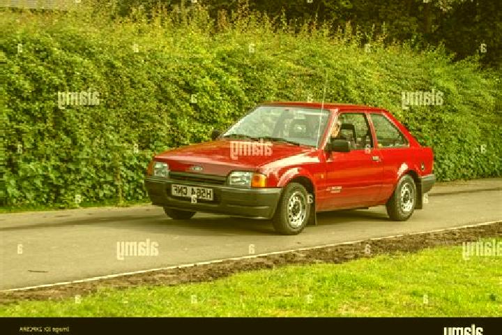 escort Kalpatta