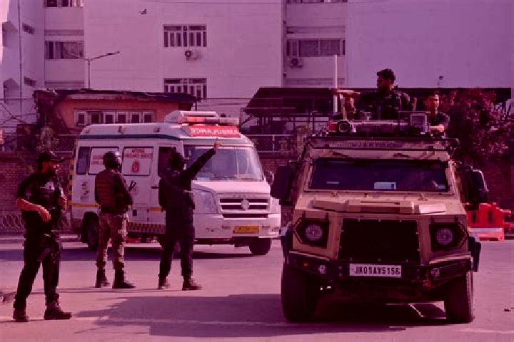 escort Kalu Chak