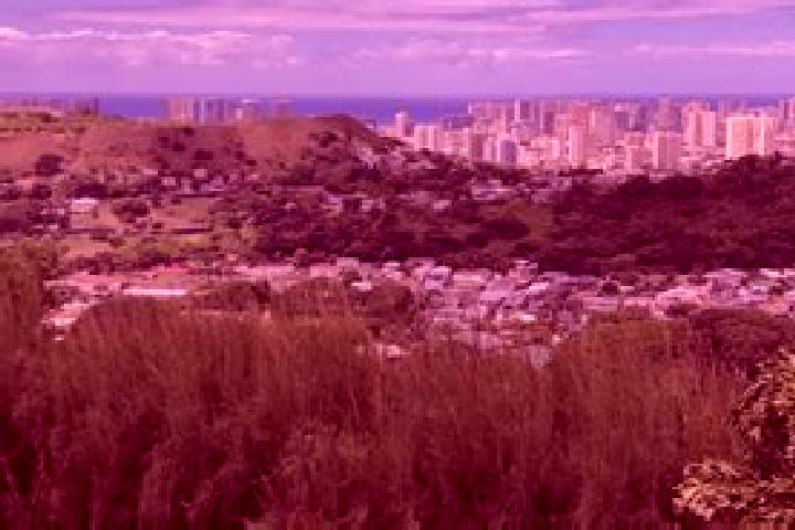 escort Kamehameha Heights