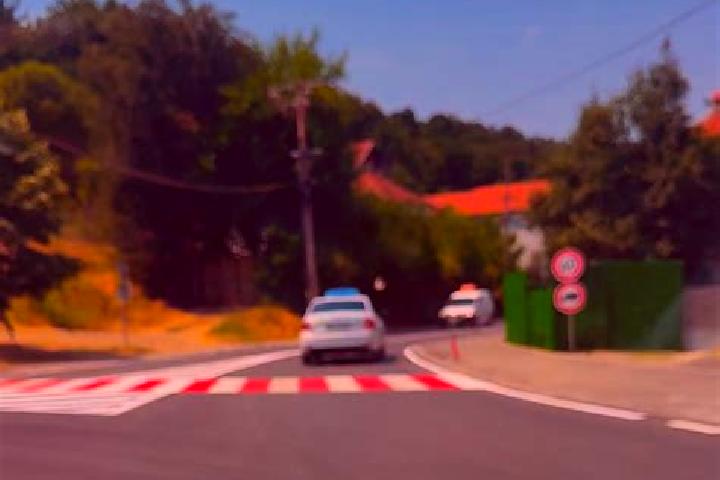 escort Kamenica