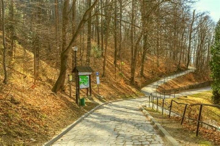 escort Kamienna Gora