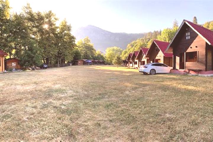 escort Kamp-Bornhofen