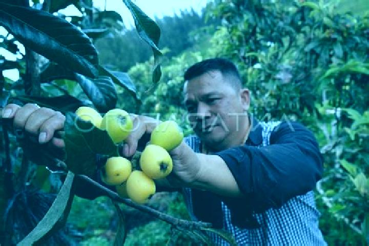 escort Kampung Cangkat Jering