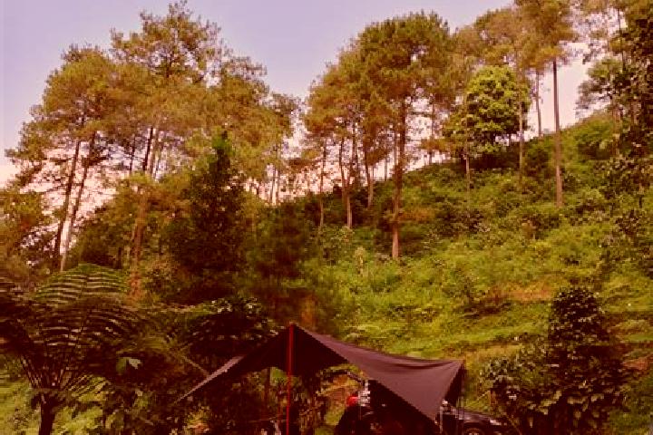 escort Kampung Rimba