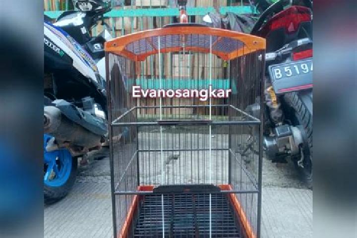 escort Kandang Timur