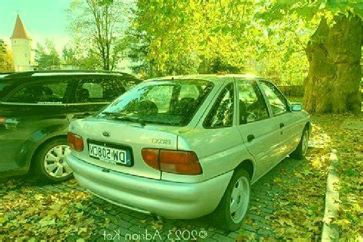 escort Kangani