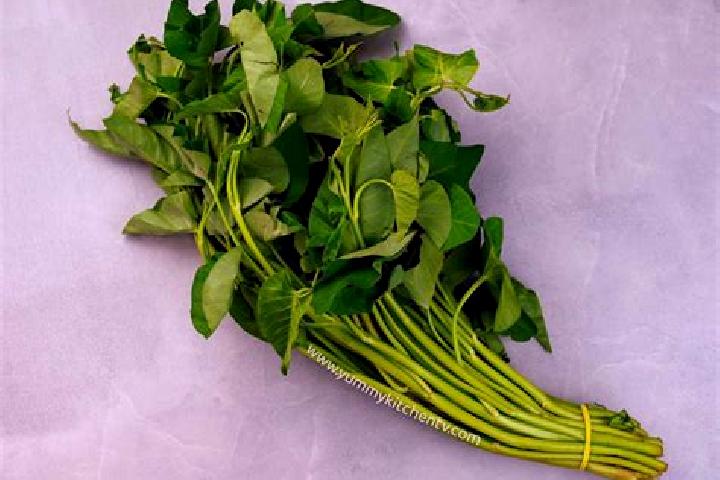 escort Kangkong