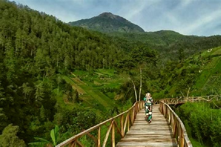 escort Karanganyar