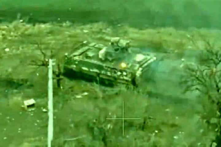 escort Karpovo-Nadezhdynka