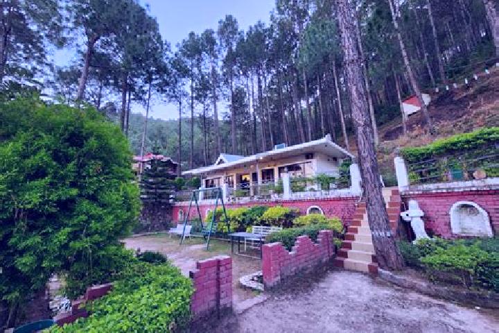 escort Kasauli
