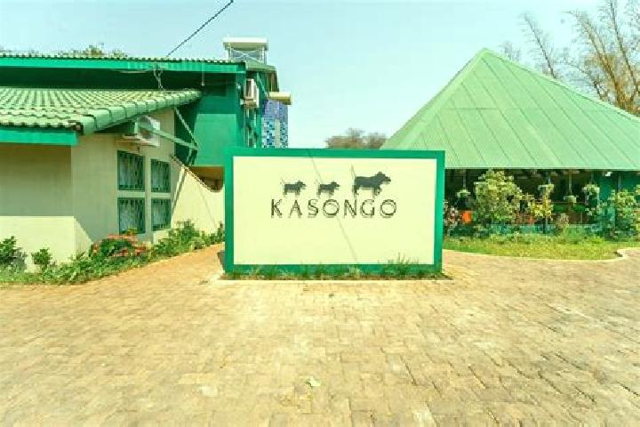 escort Kasongo