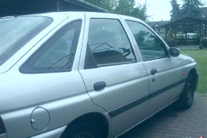 escort Kazimierza Wielka