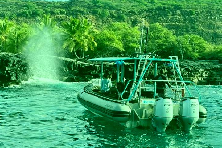 escort Kealakekua