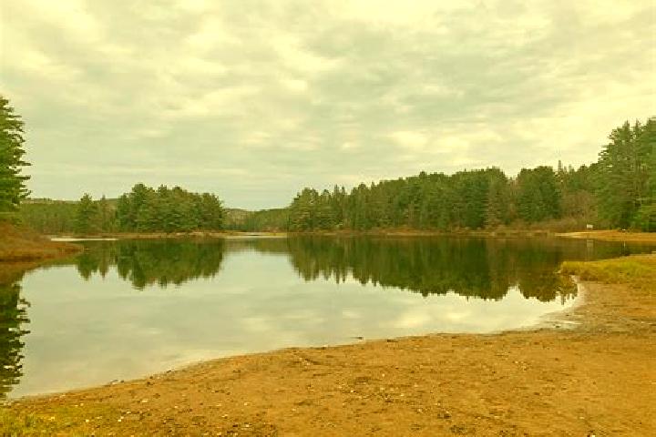 escort Kearney Lake