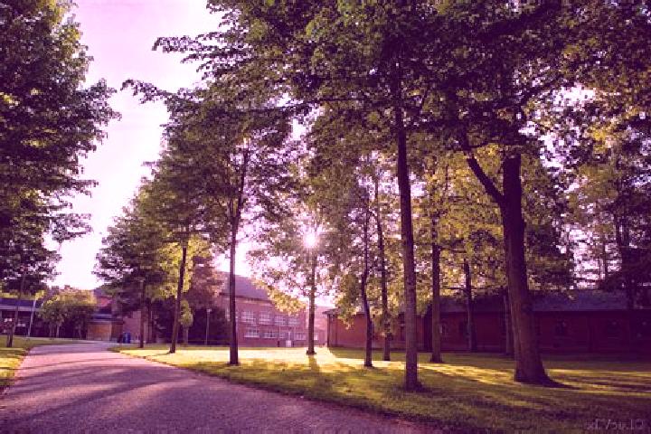 escort Keerbergen