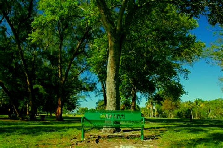 escort Kennedy Park