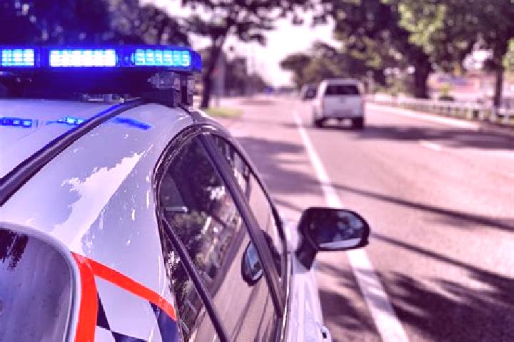 escort Kensington Grove