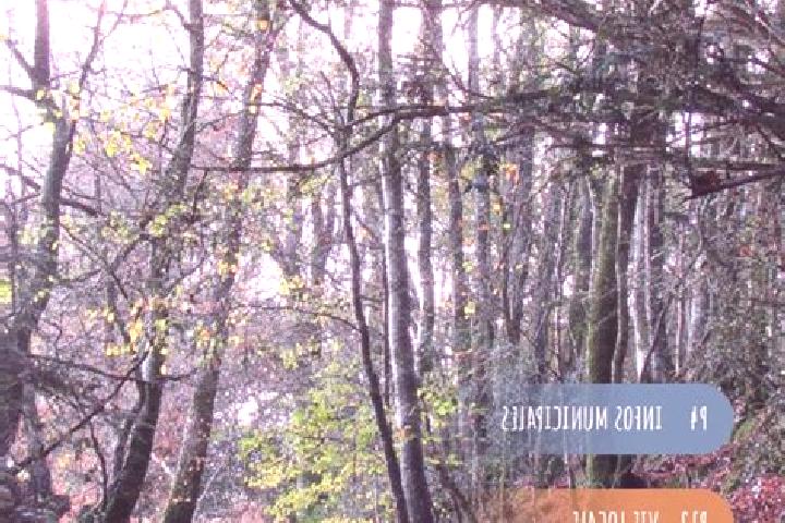escort Kergrist-Moelou