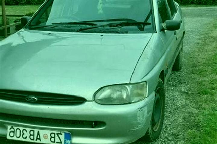 escort Kesova Gora