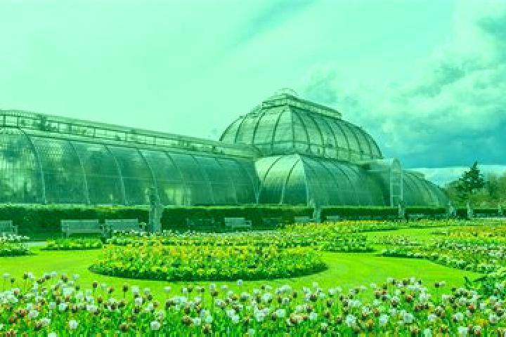 escort Kew Gardens