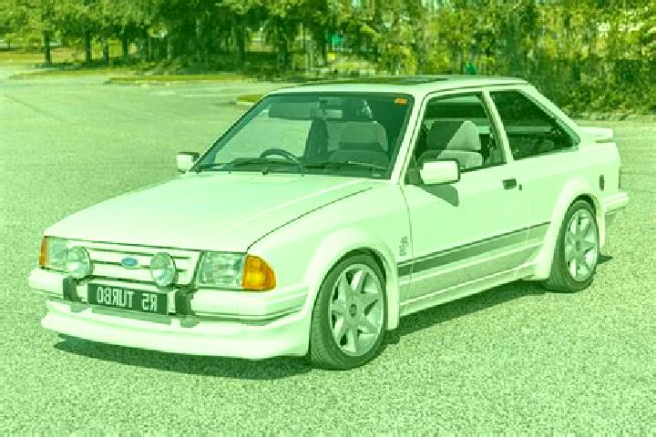escort KfarMonash