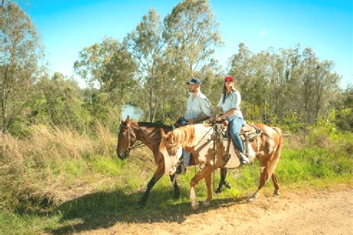escort Kilcoy
