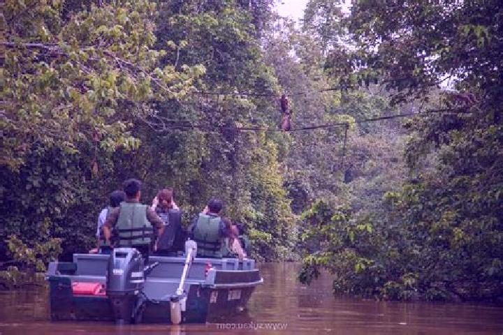 escort Kinabatangan