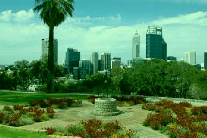 escort Kings Park
