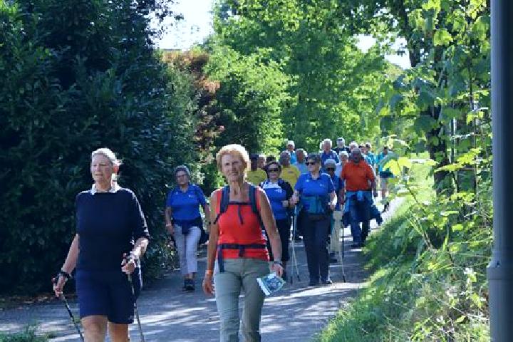 escort Kirchdorf am Inn