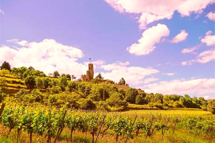 escort Kirchheim an der Weinstrasse