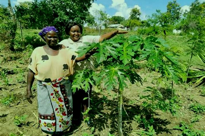 escort Kitui
