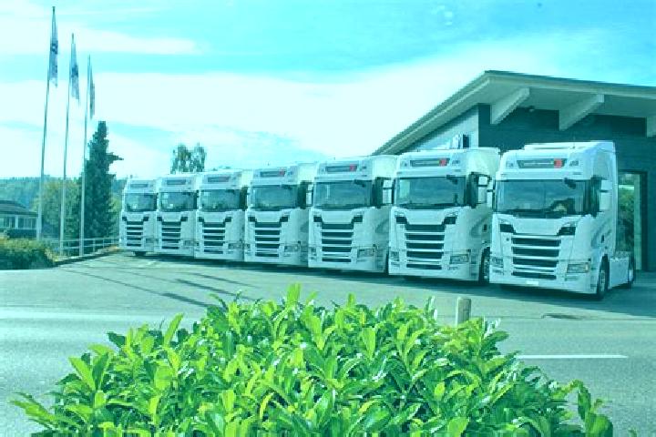escort Kleinraming
