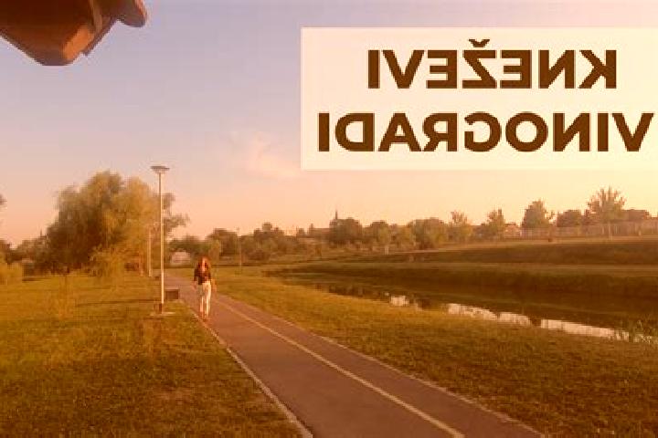 escort Knezevi Vinogradi
